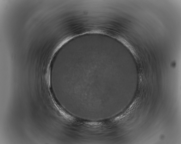 X0000100851127200806271129