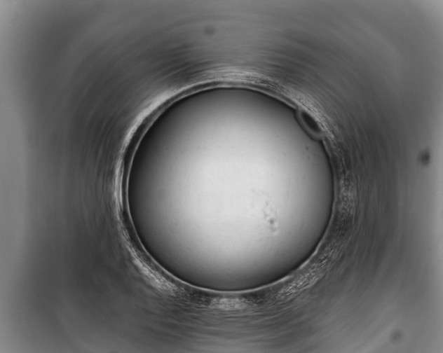 X0000100851128200806271129