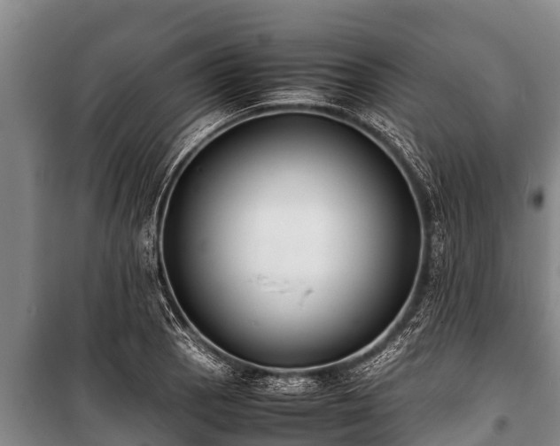 X0000100851129200806271129