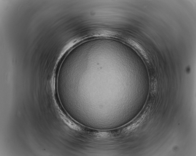 X0000100851130200806271129