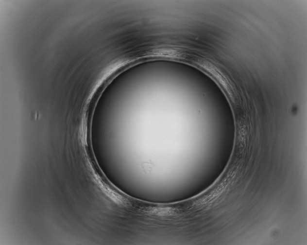 X0000100851131200806271129