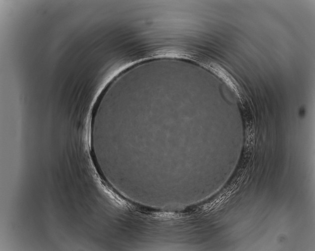 X0000100851132200806271129