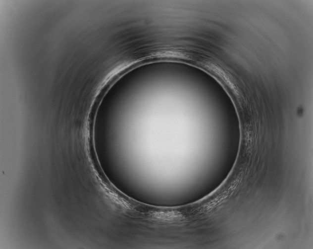X0000100851133200806271129