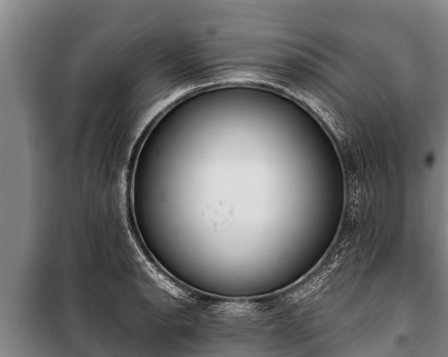 X0000100851134200806271129
