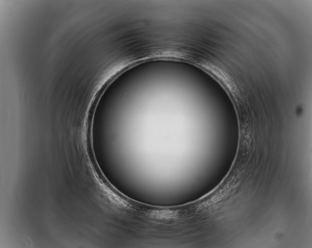 X0000100851135200806271129