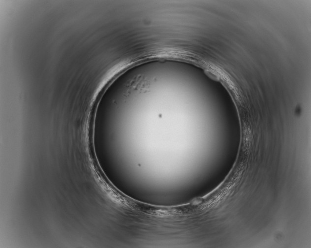 X0000100851138200806271129