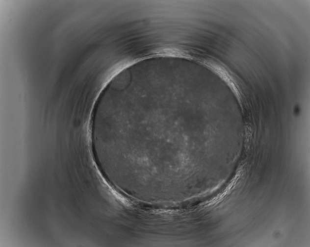 X0000100851141200806271130