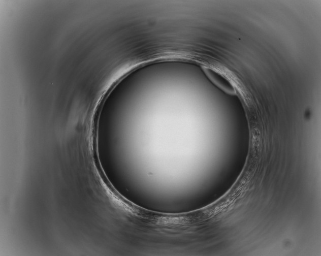 X0000100851143200806271130
