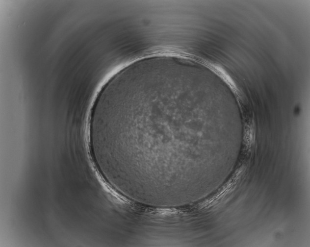 X0000100851144200806271130
