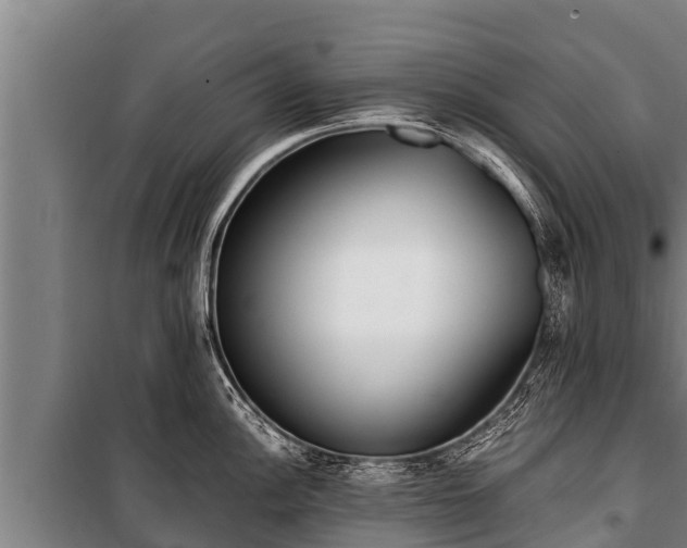X0000100851148200806271130