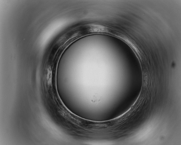 X0000100851151200806271130