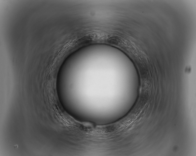 X0000100851153200806271129