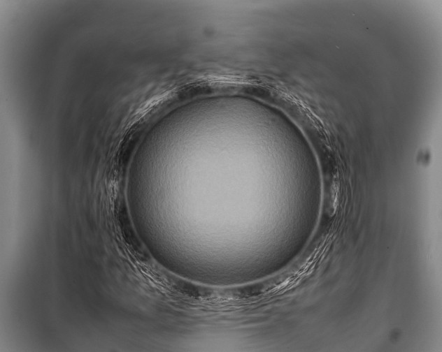 X0000100851157200806271129