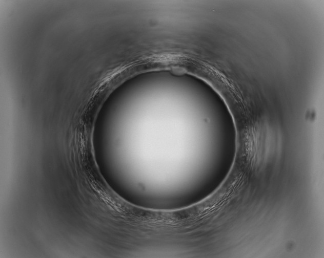 X0000100851158200806271129
