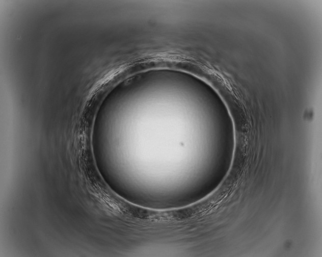 X0000100851159200806271129