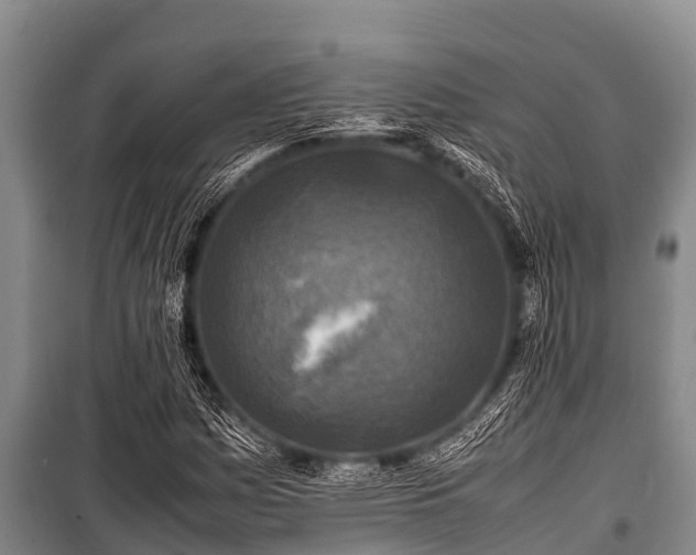 X0000100851161200806271129