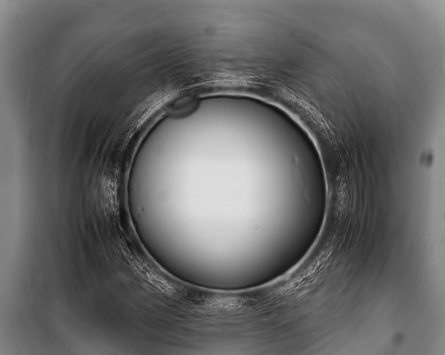 X0000100851162200806271129