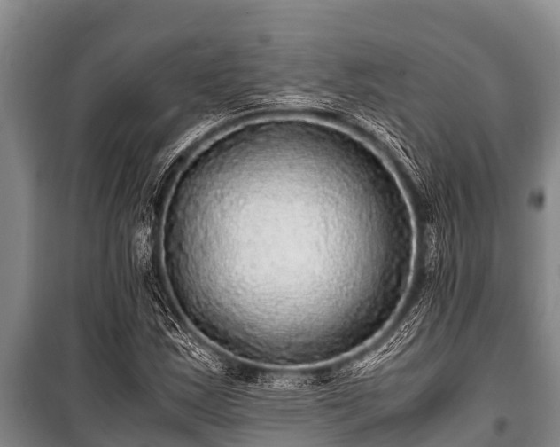 X0000100851163200806271129