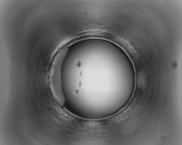 X0000100851164200806271129