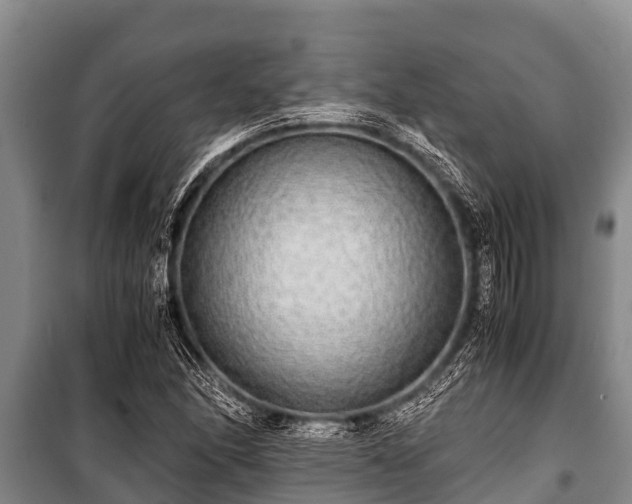 X0000100851166200806271129