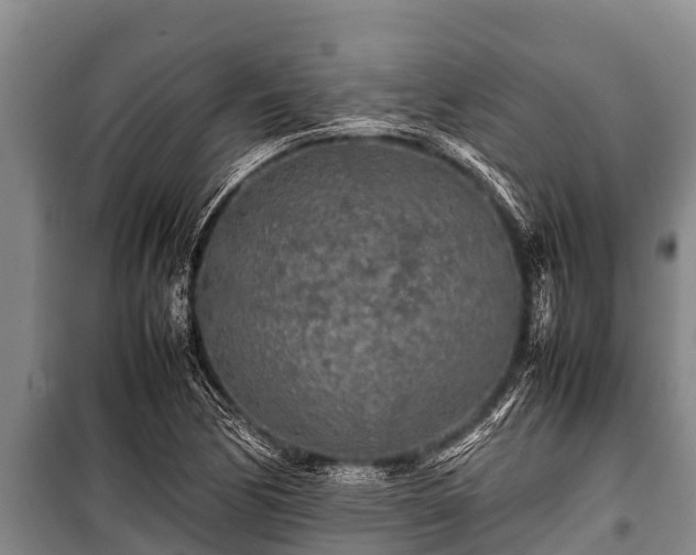 X0000100851170200806271129