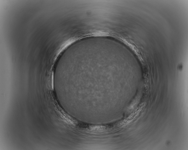 X0000100851171200806271129