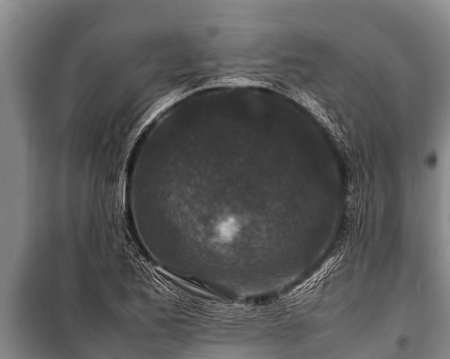 X0000100851173200806271129