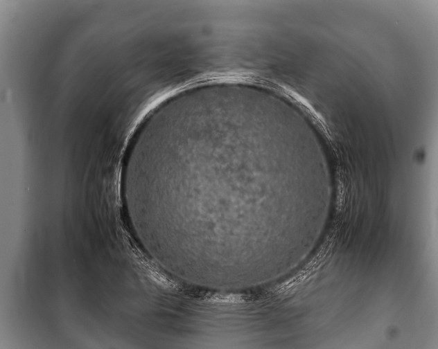 X0000100851174200806271129