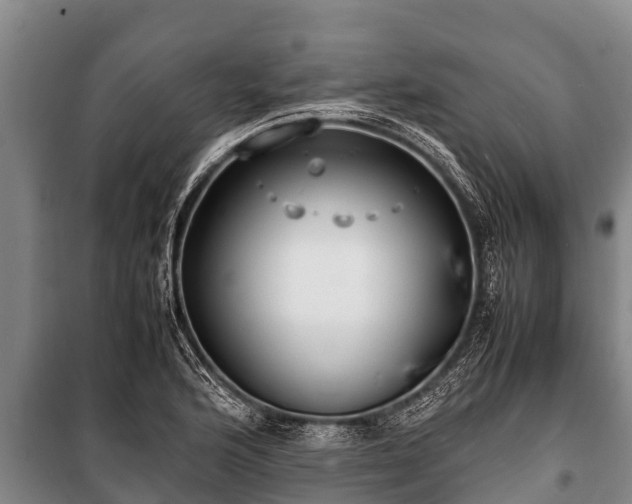 X0000100851176200806271129