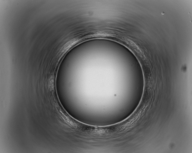 X0000100851177200806271129