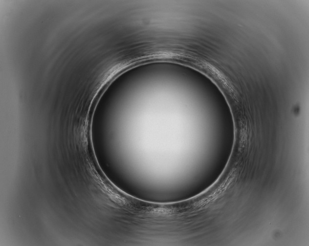 X0000100851178200806271129