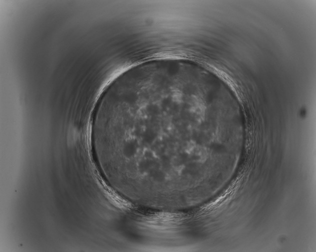 X0000100851179200806271129