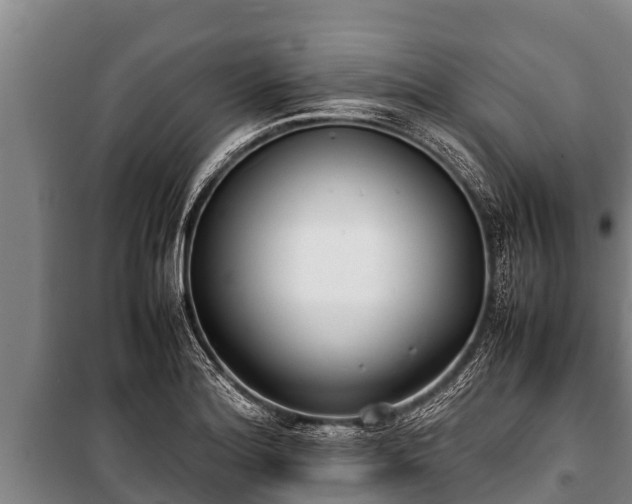 X0000100851180200806271129