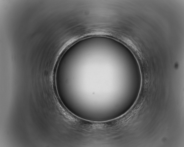 X0000100851181200806271129