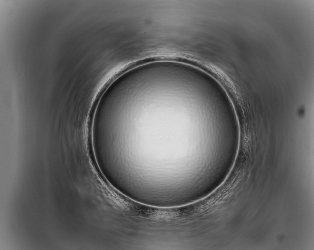 X0000100851183200806271129