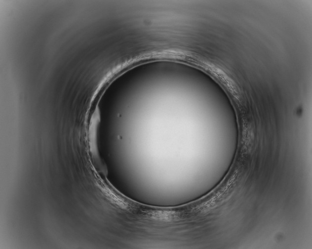 X0000100851184200806271129