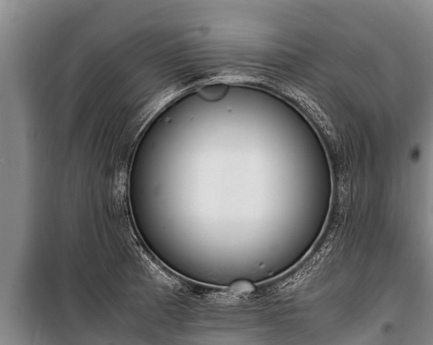 X0000100851185200806271129