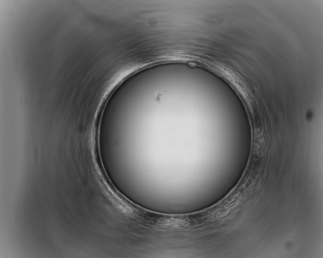 X0000100851187200806271128