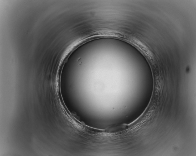 X0000100851188200806271128