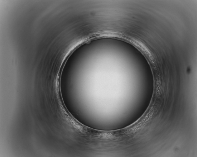 X0000100851190200806271128