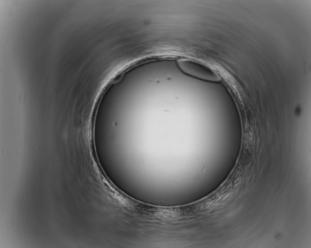 X0000100851191200806271128