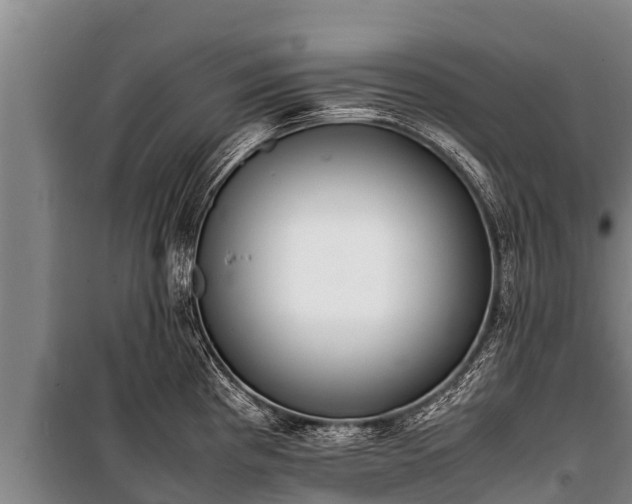 X0000100851193200806271128