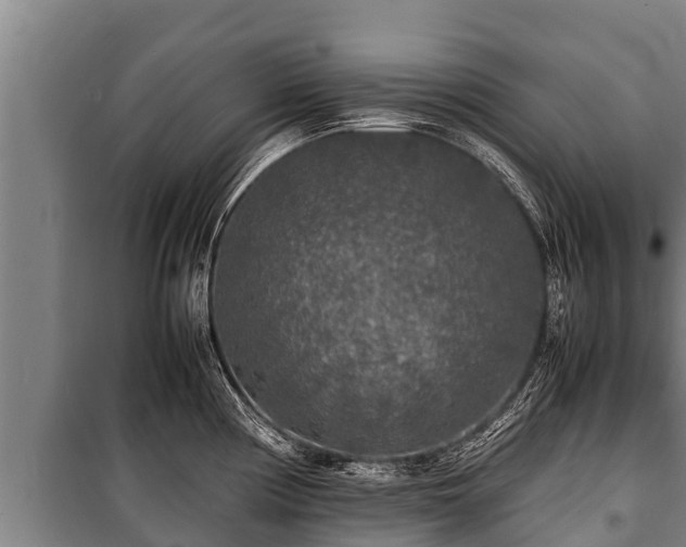 X0000100851194200806271128
