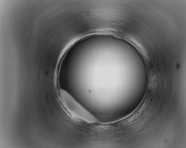 X0000100851196200806271128