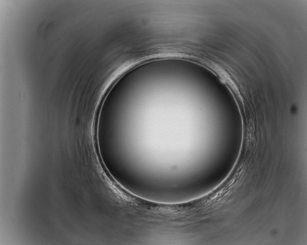 X0000100851197200806271128