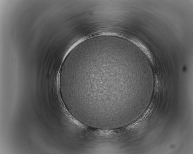 X0000100851198200806271128