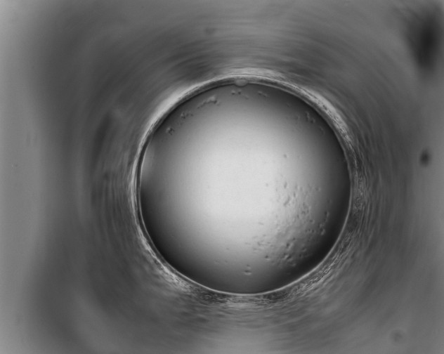 X0000100851199200806271128