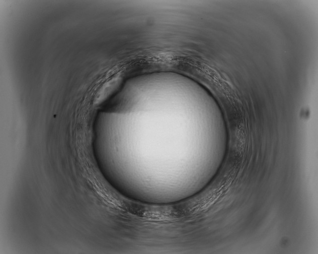 X0000100851201200806271128