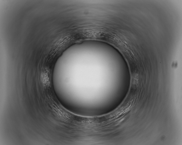 X0000100851202200806271128