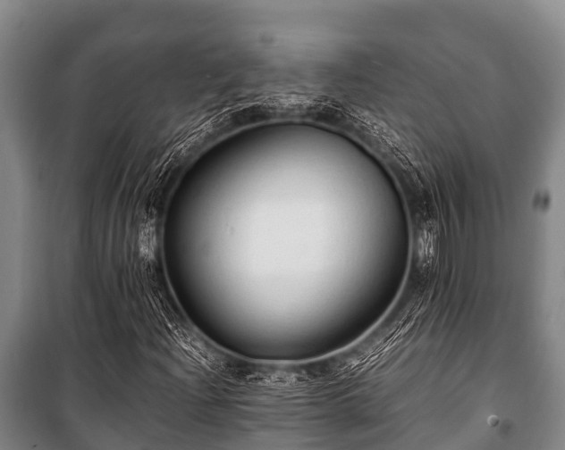 X0000100851204200806271128